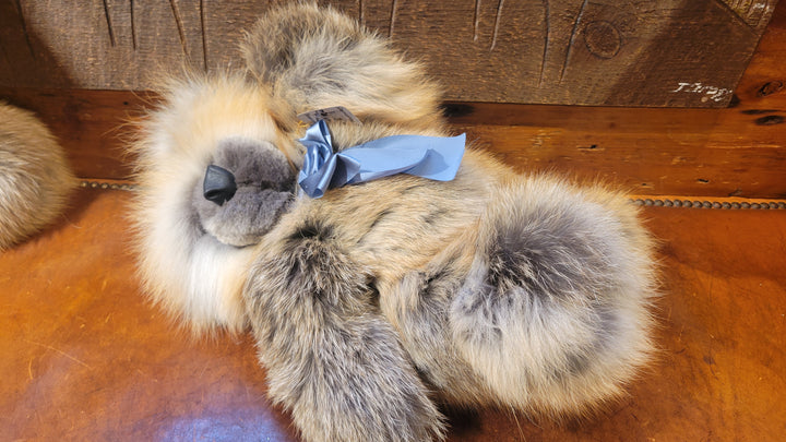 Fur Coat Bear - Kyle McCool