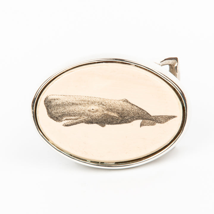 Sperm Whale Buckle - Scrimshaw, Mammoth Ivory, Sterling Silver