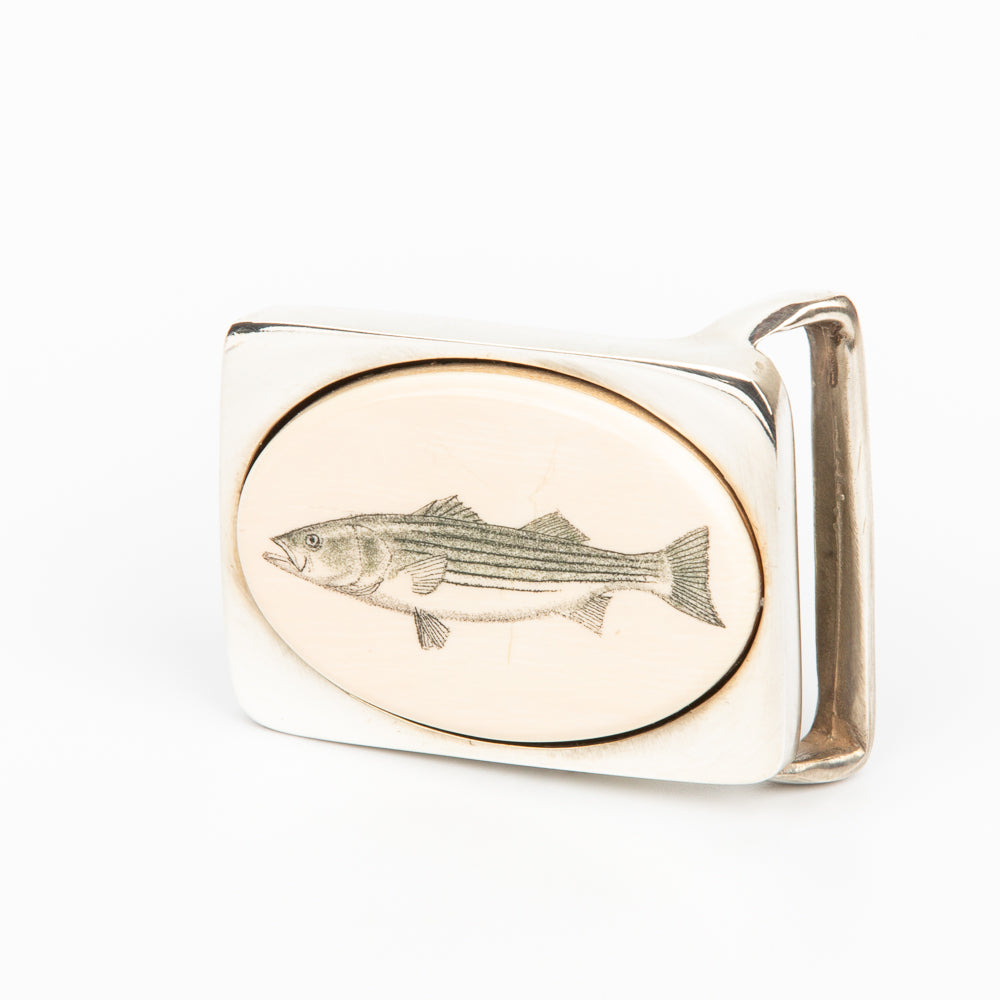 Striped Bass Buckle sm - Scrimshaw, Mammoth Ivory, Sterling Silver