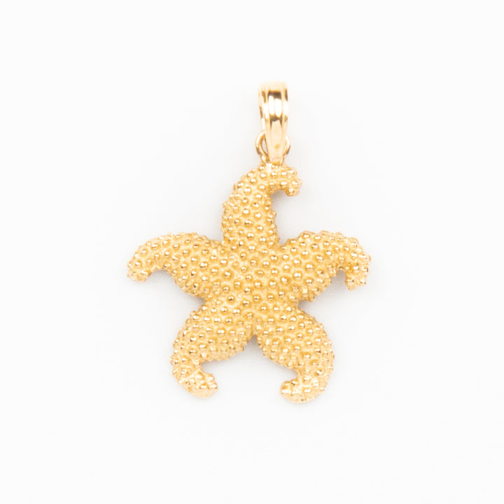 Starfish Charm - 14K Gold