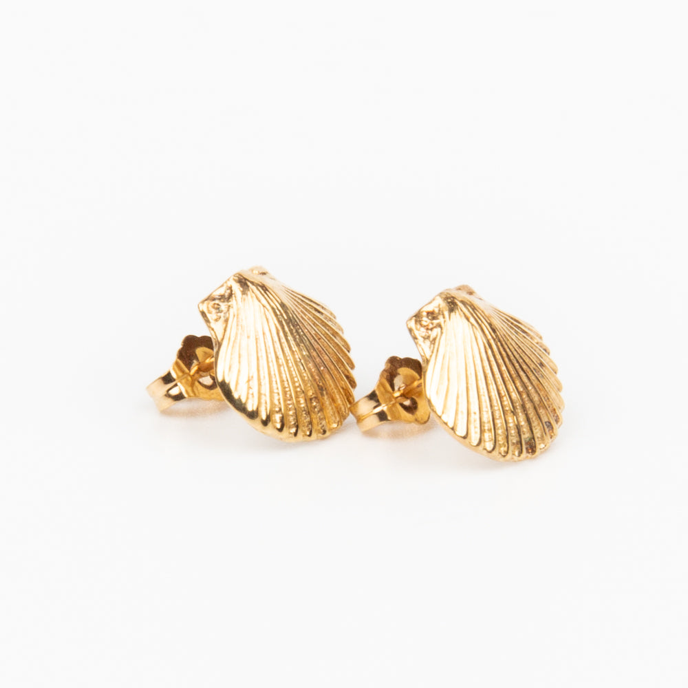Scallop Earrings - 14K Gold