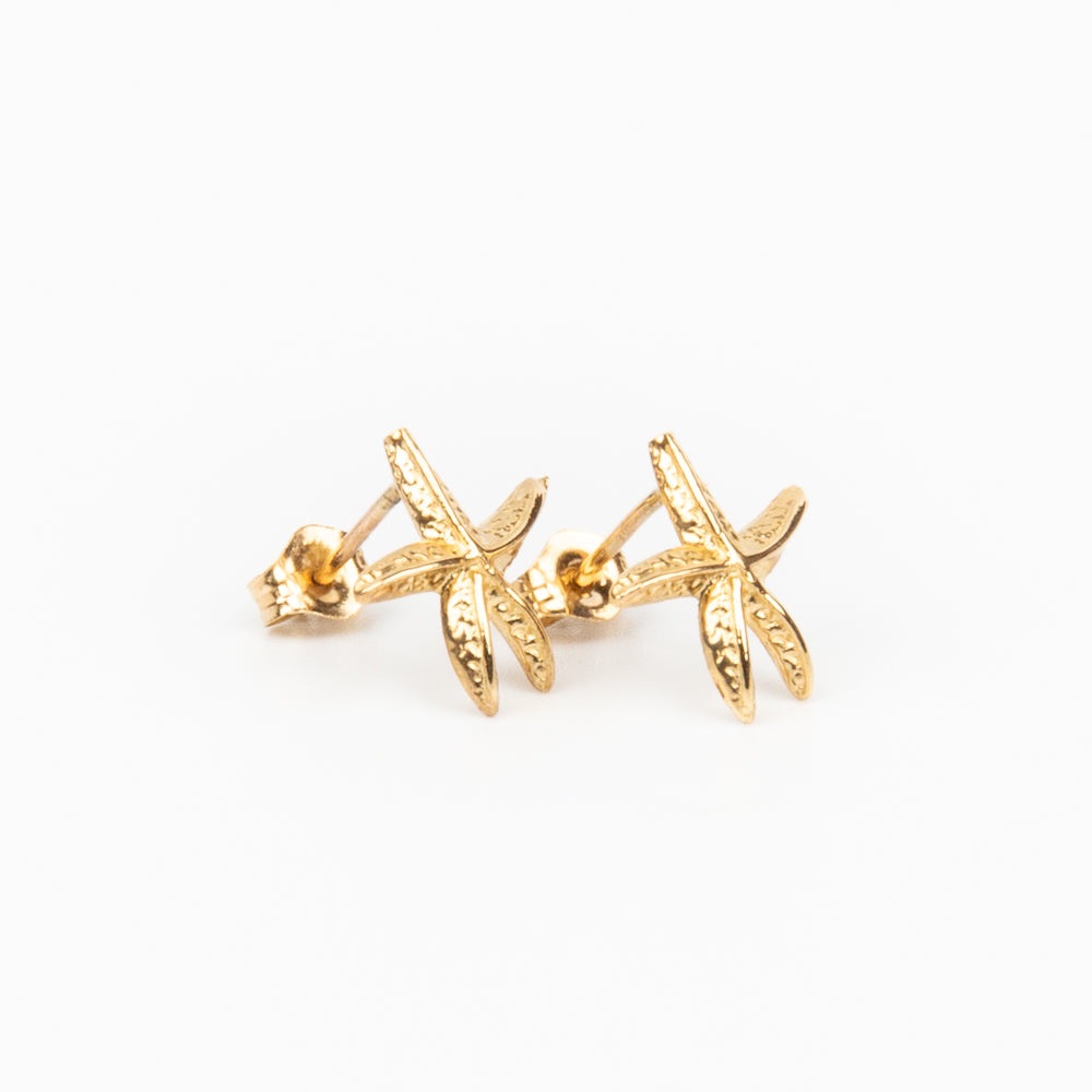 Starfish Earrings - 14K Gold