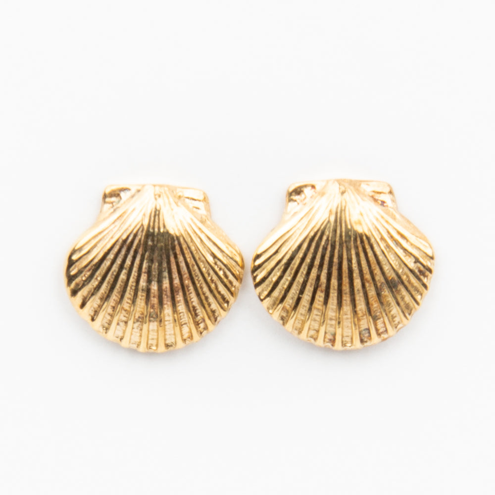 Scallop Earrings - 14K Gold