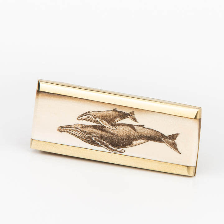 Humpback Whales Money Clip - Mammoth, Scrimshaw, Solid Brass